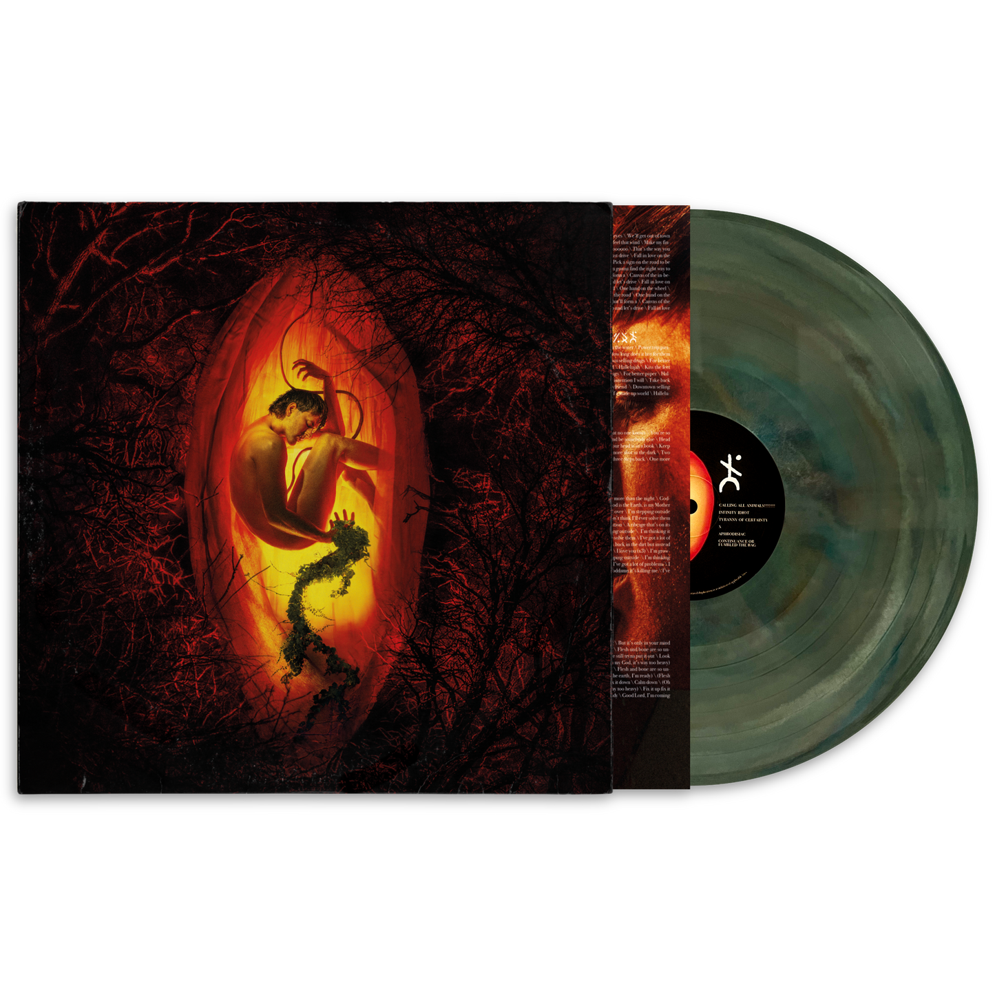 WARNING HIGH CUBE vinyl